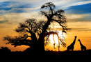 South Africa Travel Information
